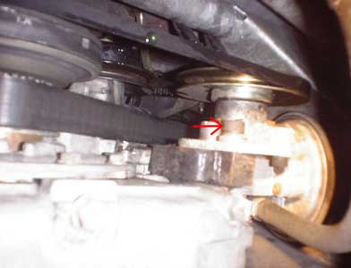 Timing Belt